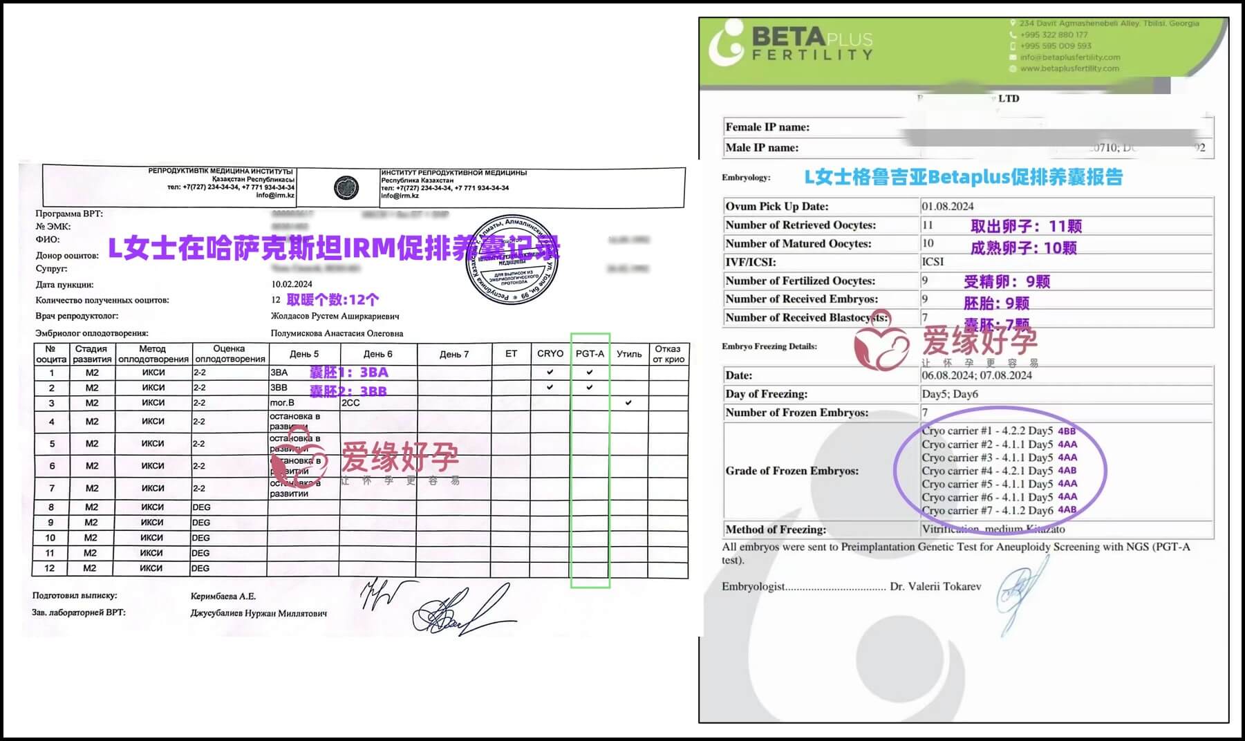 哈萨克斯坦7月8月供暖自暖移植成功率有何不同?
