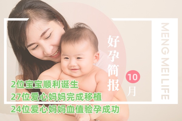 好孕简报 | 2024年10月宝宝汇总