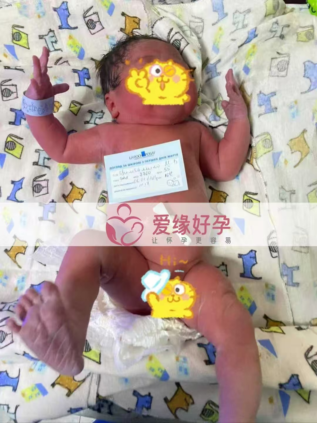 乌克兰爱心使者顺利生下小公主一枚