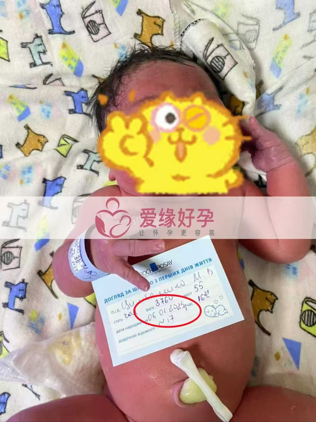 乌克兰爱心使者顺利生下小公主一枚