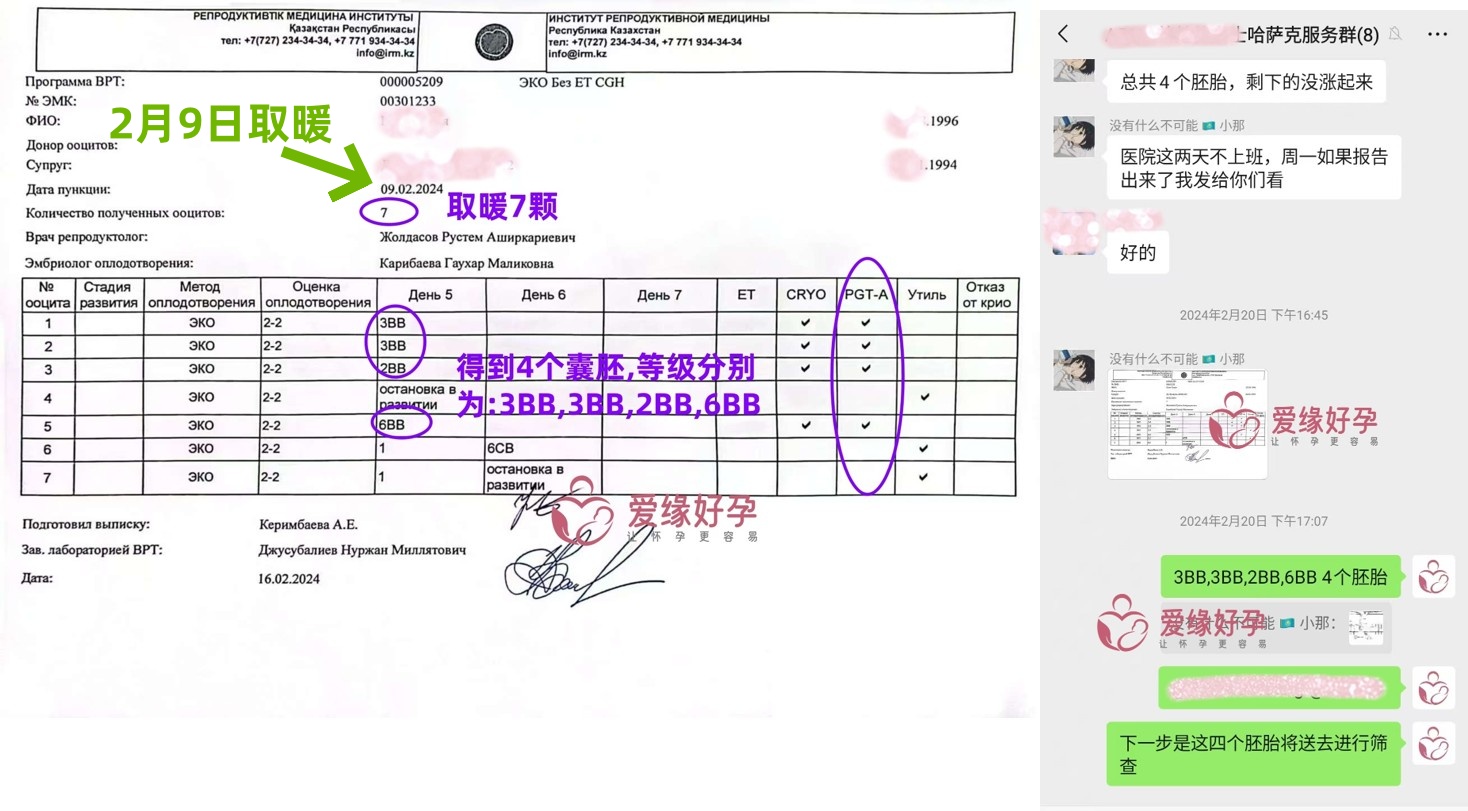 北京夫妇哈萨克斯坦试管婴儿助孕11个月成功得子 | 成功故事