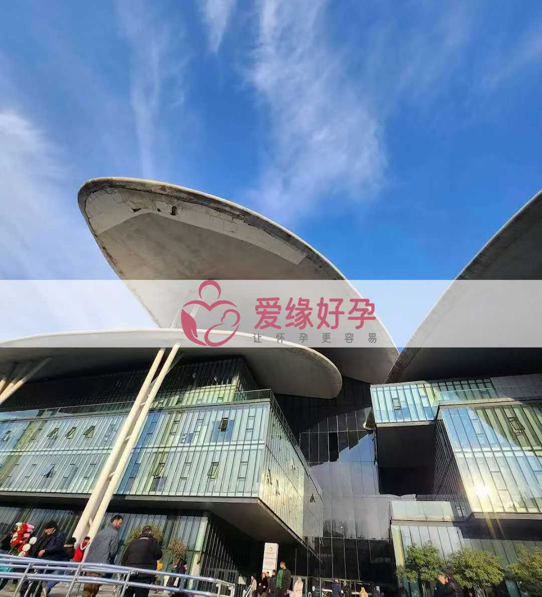 格鲁吉亚试管婴儿助孕宝贝诞生后出生证一周内到手