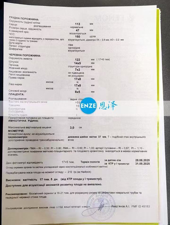 格鲁吉亚试管婴儿助孕爱心使者17周产检顺利通过