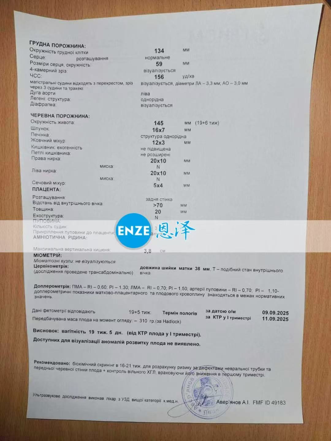 乌克兰试管婴儿助孕爱心使者19周产检顺利通过