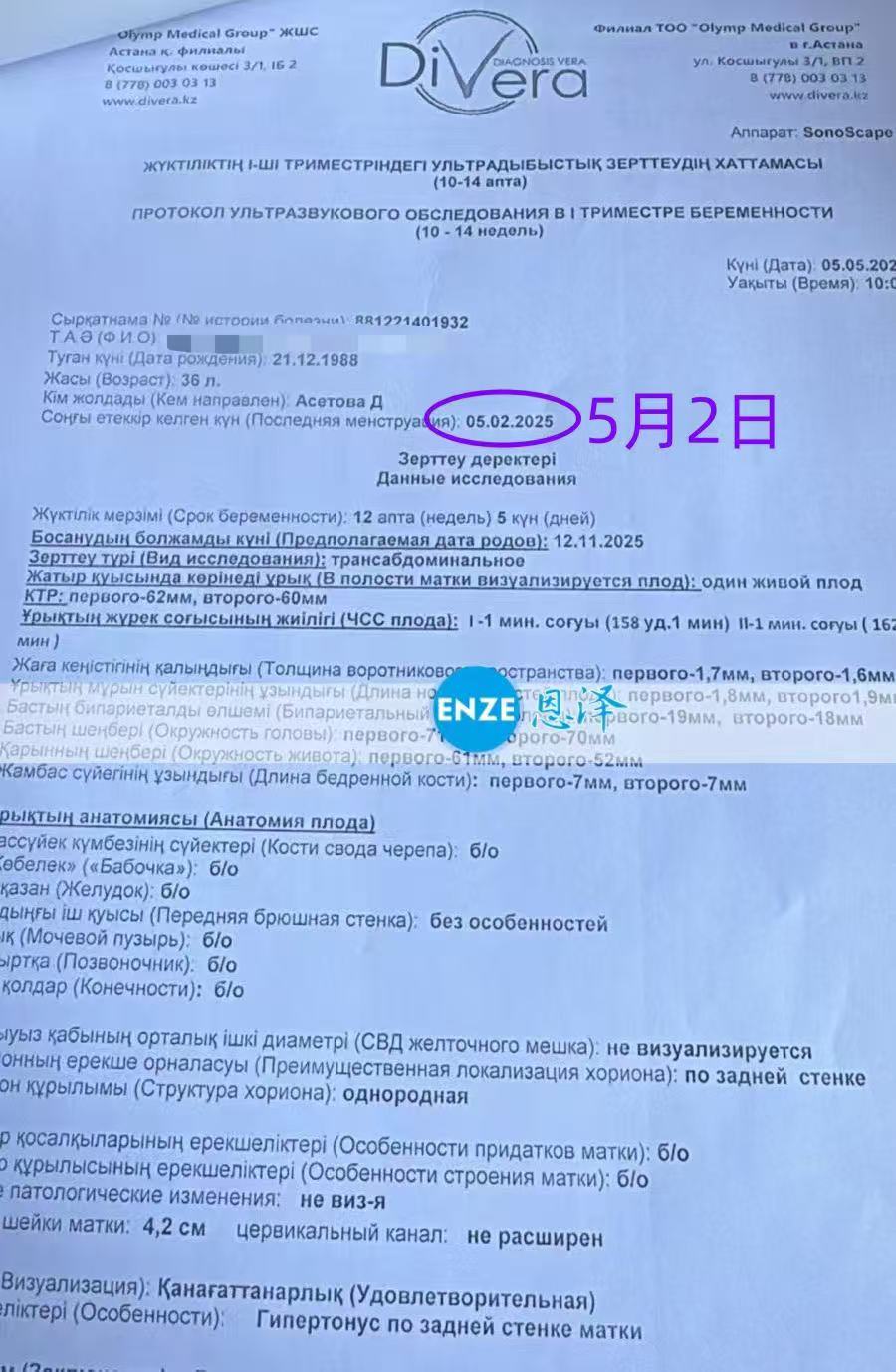 格鲁吉亚试管婴儿助孕爱心使者正式度过风险期