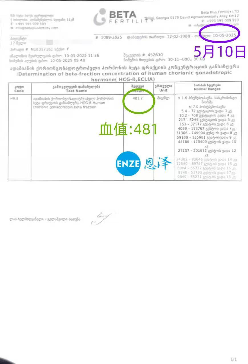 格鲁吉亚试管婴儿助孕爱心使者验孕成功
