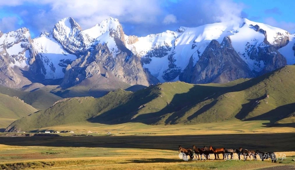 吉尔吉斯斯坦试管婴儿辅助生殖合法么？附价格+详细助孕流程(2025年最新攻略)