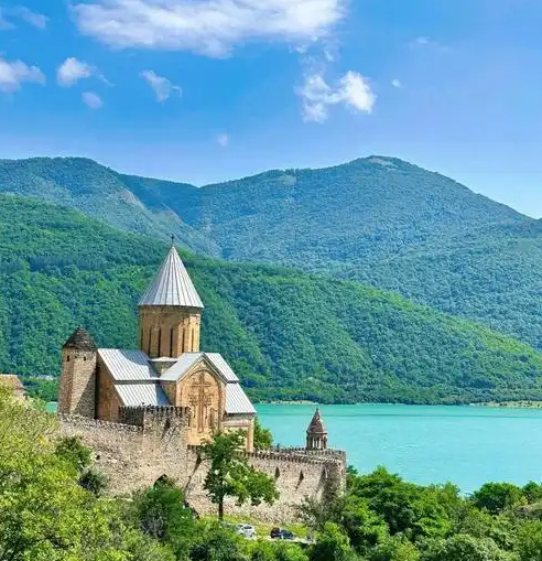 去格鲁吉亚做试管需要准备什么资料