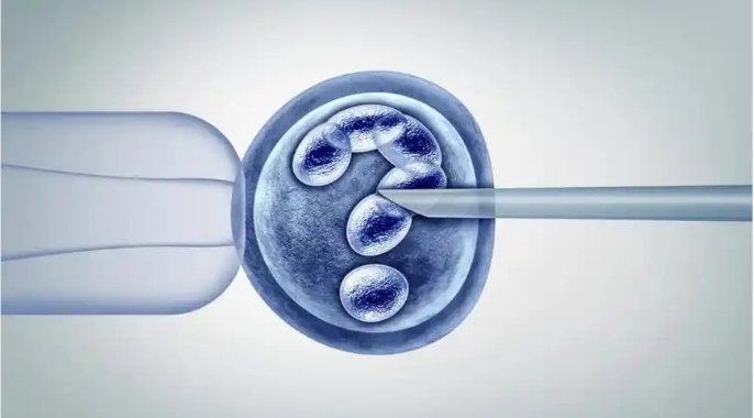 格鲁吉亚试管婴儿选择冻胚还是暖子保存很关键