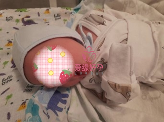 供暖一次移植成功