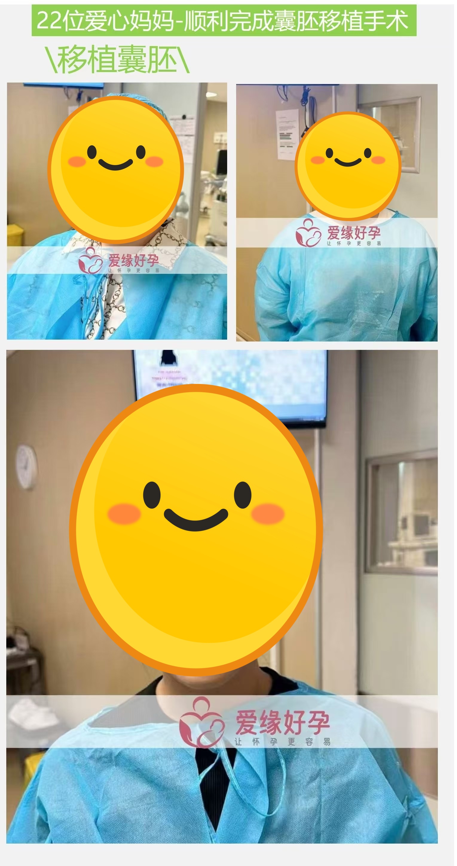 好孕简报 | 2024年11月宝宝汇总