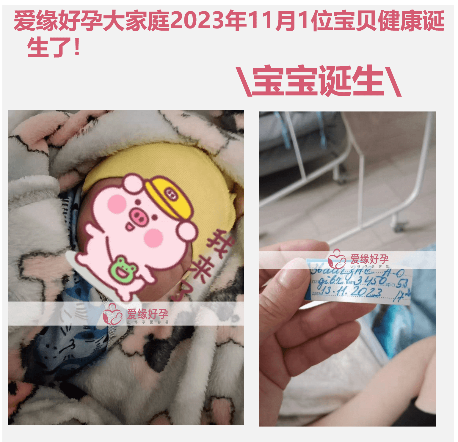 爱缘好孕:11月试管婴儿助孕简报