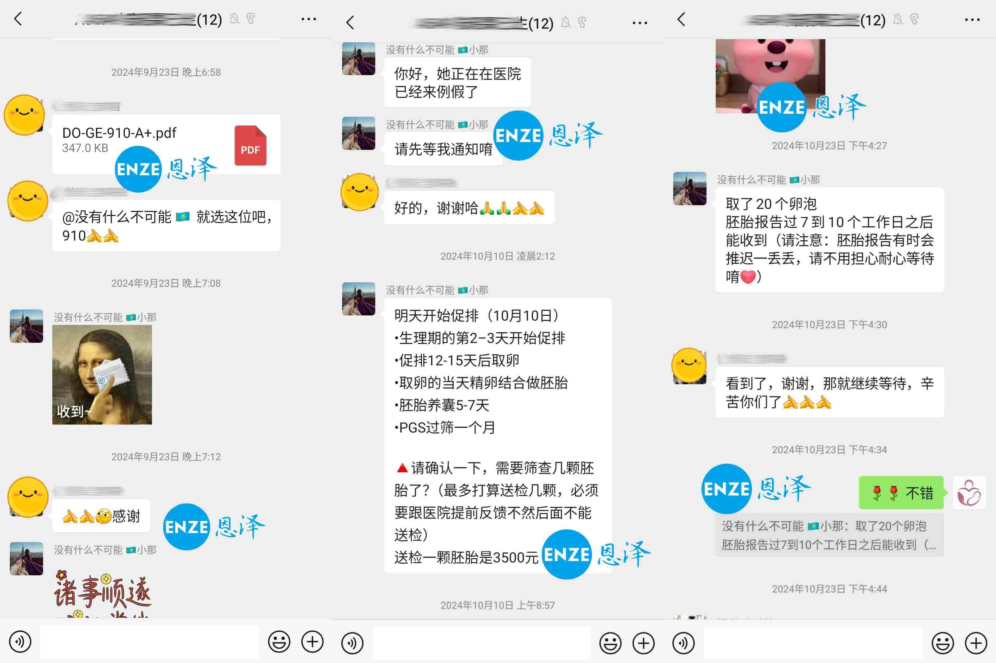 恩泽格鲁吉亚试管婴儿助孕捐暖14个月抱到双胞胎