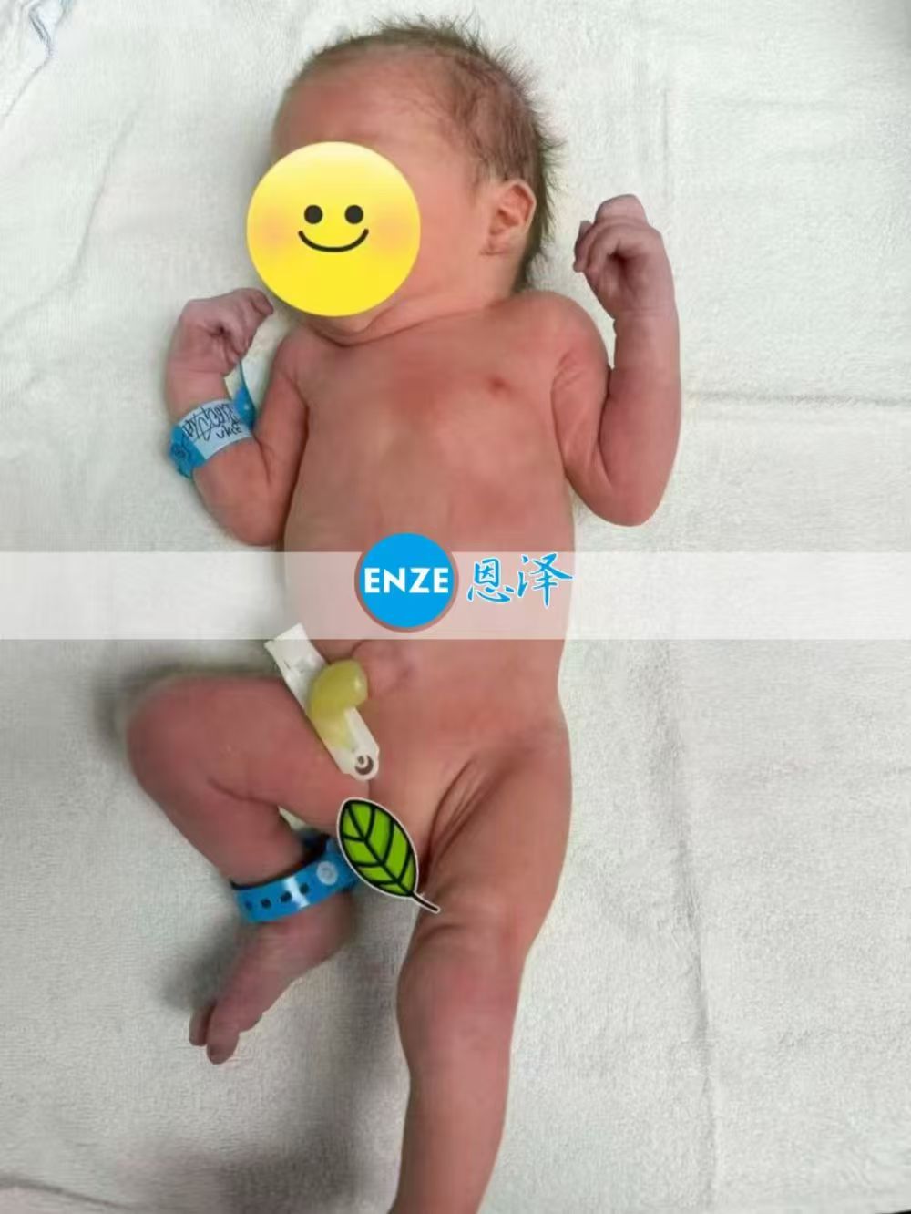 恩泽格鲁吉亚试管婴儿助孕宝宝顺利出生