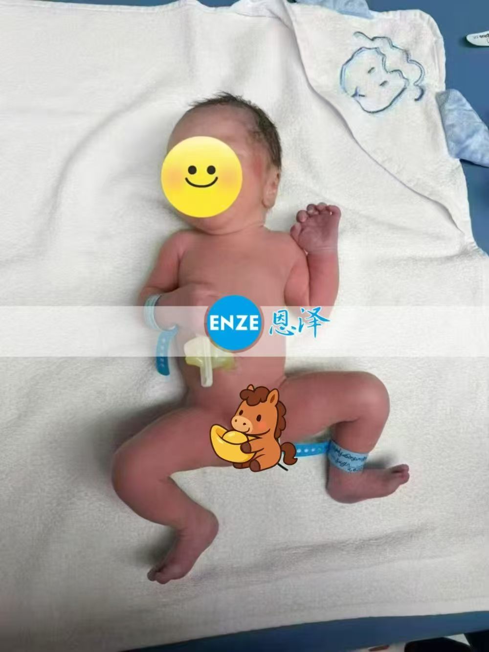 恩泽格鲁吉亚试管婴儿助孕宝宝顺利出生