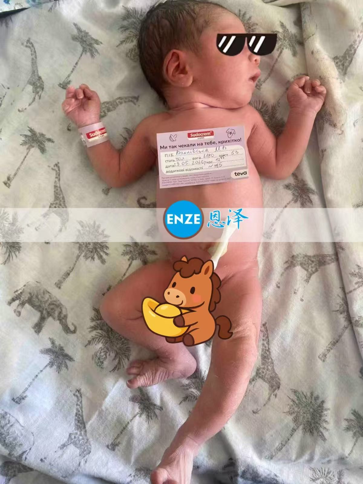 恩泽格鲁吉亚试管婴儿助孕宝宝顺利出生