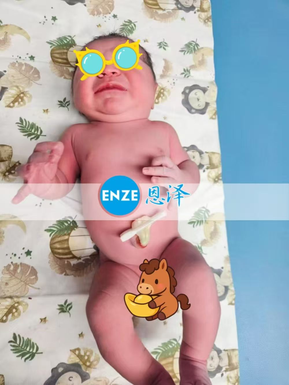 恩泽格鲁吉亚试管婴儿助孕宝宝顺利出生