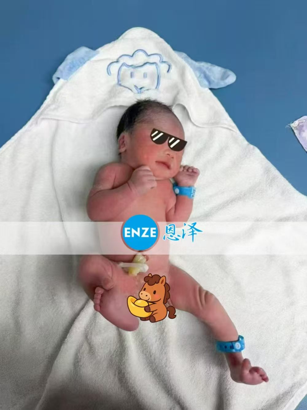恩泽格鲁吉亚试管婴儿助孕宝宝顺利出生