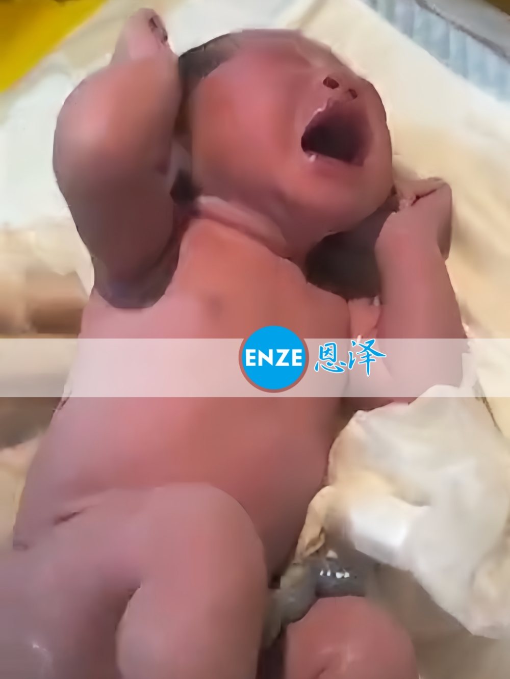 恩泽格鲁吉亚试管婴儿助孕宝宝顺利出生